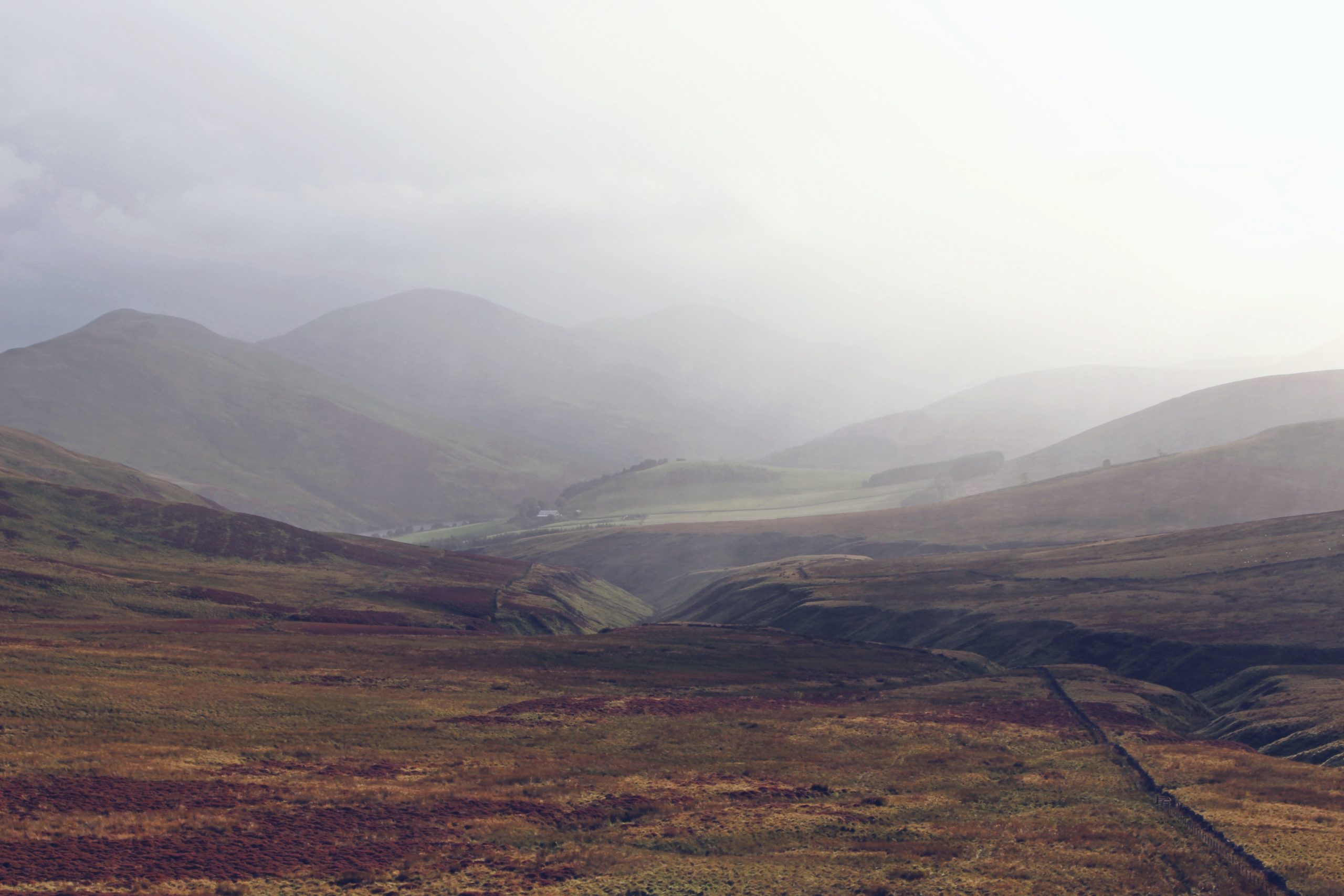 Ireland Peatland Restoration